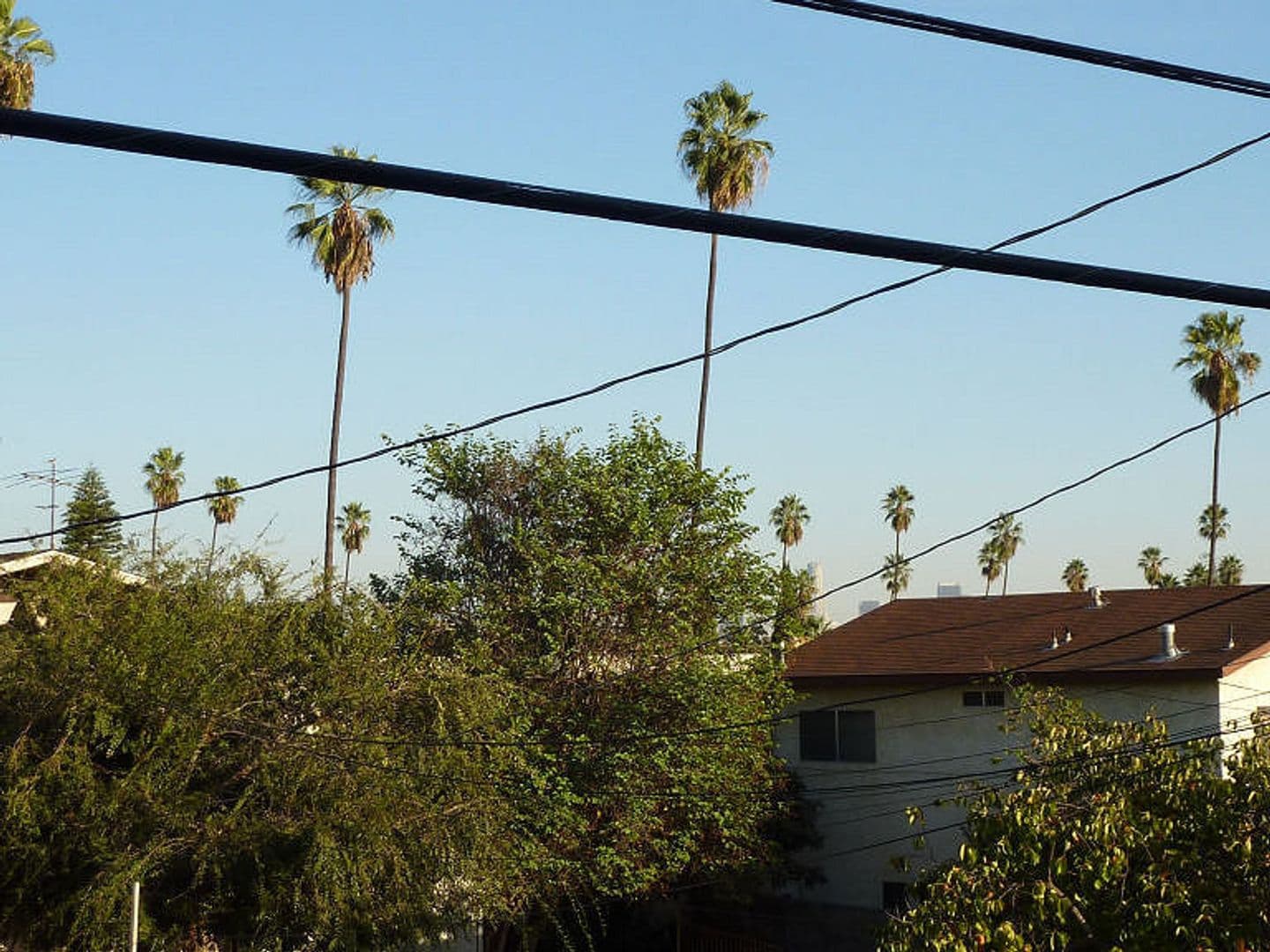 Hollywood Apartment: 940 N. Ardmore Ave.