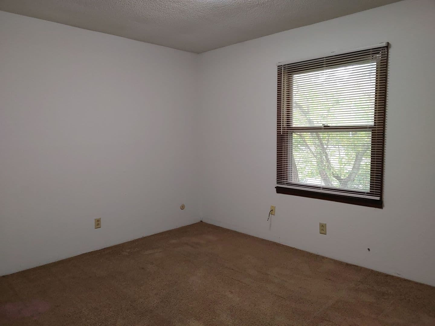Cape Girardeau Apartment: 616 BOXWOOD