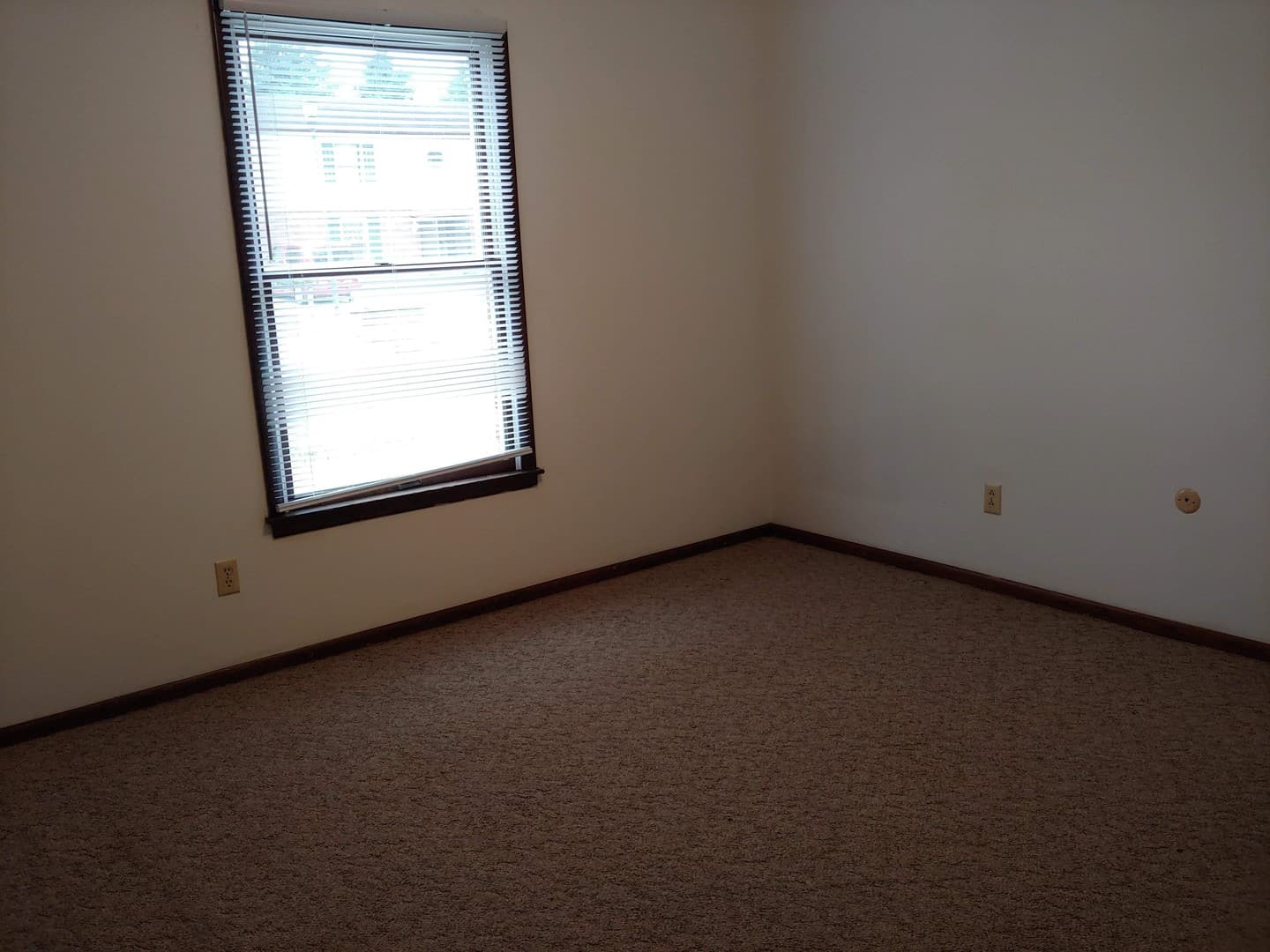 Cape Girardeau Apartment: 3002 THEMIS