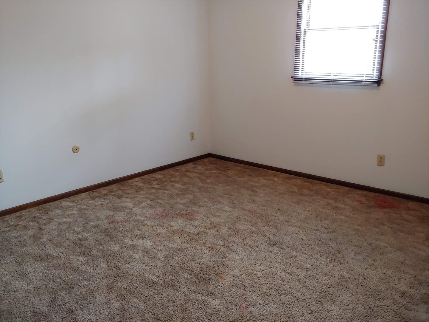 Cape Girardeau Apartment: 3002 THEMIS