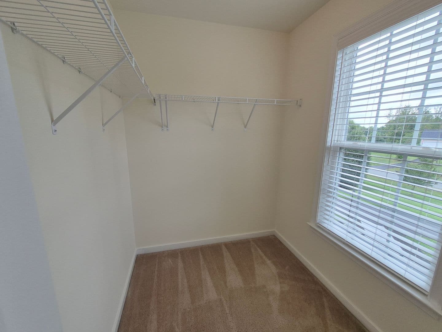 Stafford House: 15 Sweet William Drive