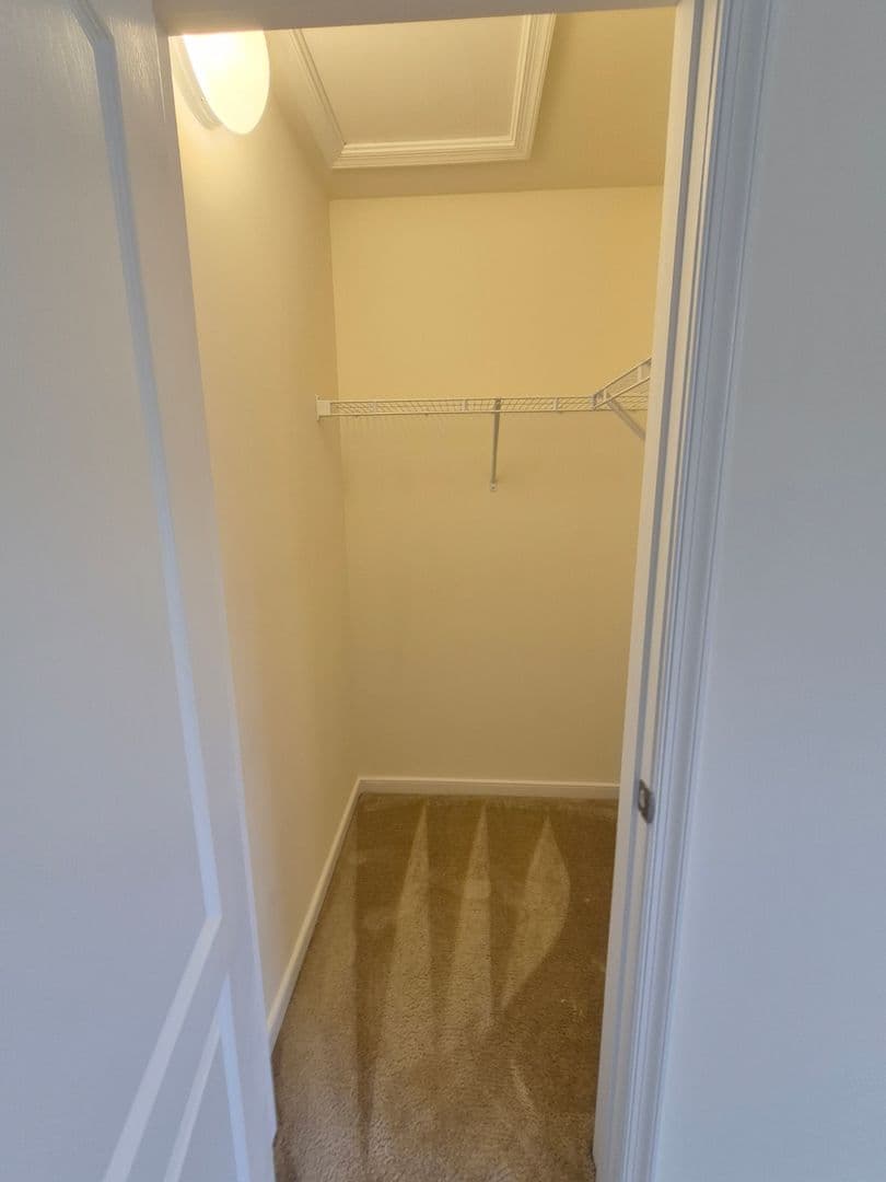 Stafford House: 15 Sweet William Drive