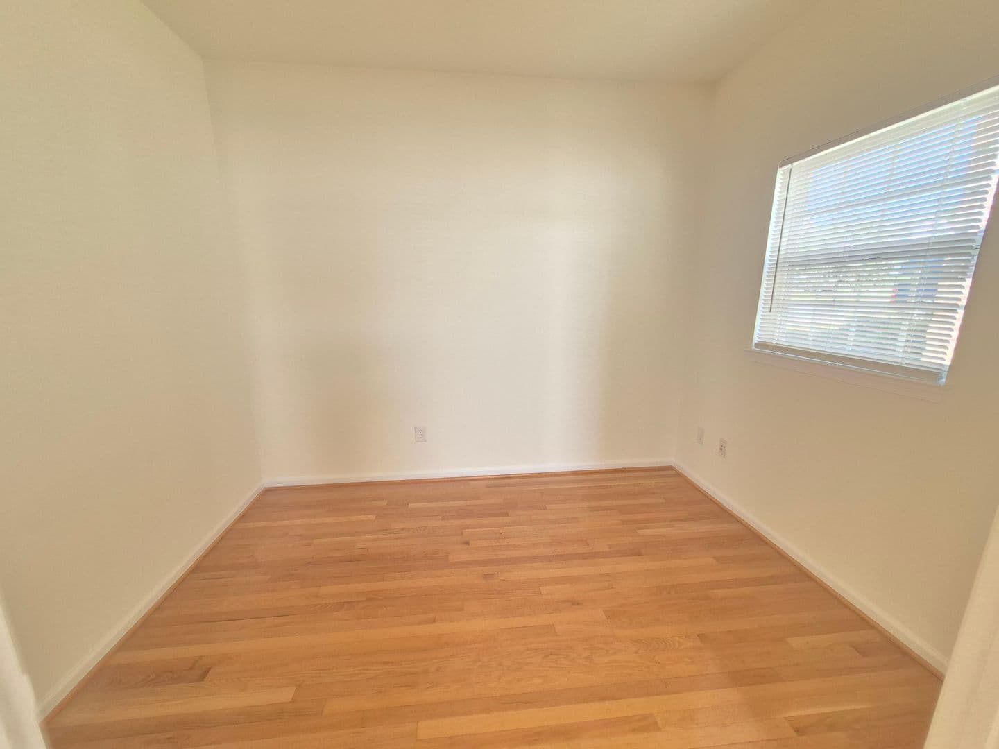Fredericksburg House: 5207 Linden Drive