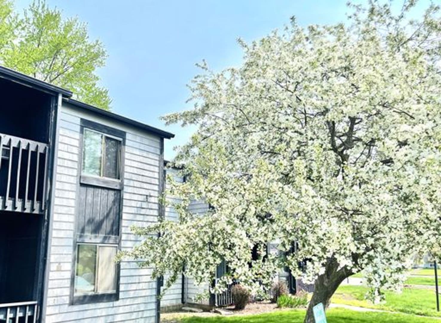 Sycamore Apartment: 1117 S Cross St. Office