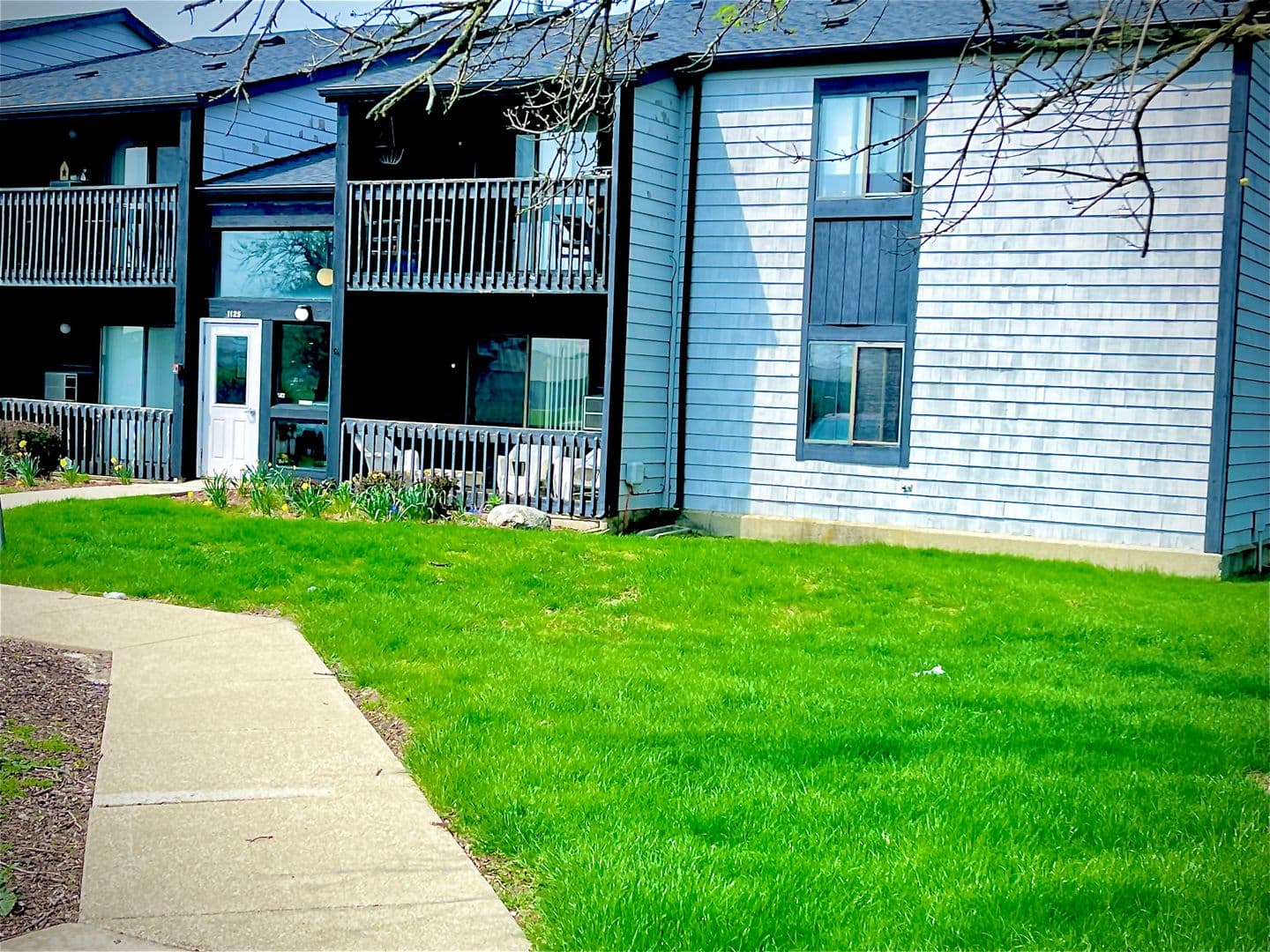 Sycamore Apartment: 1117 S Cross St. Office