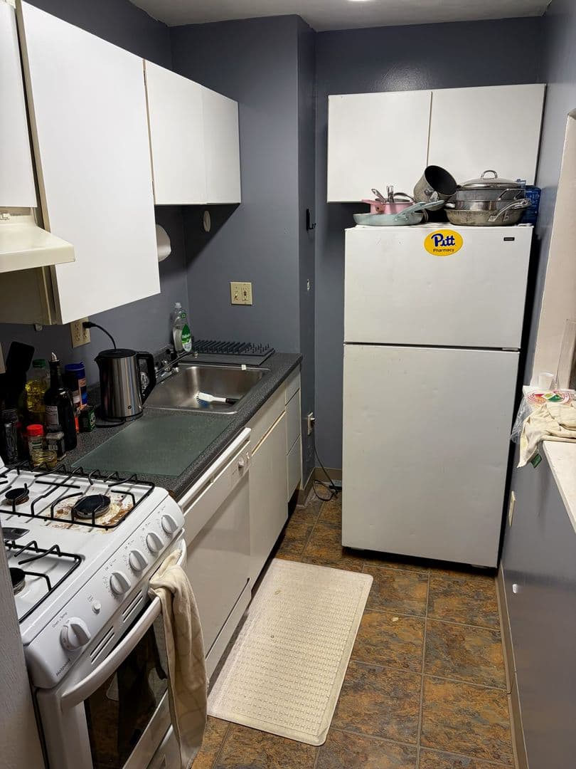 PITTSBURGH Apartment: 348 MEYRAN AVE