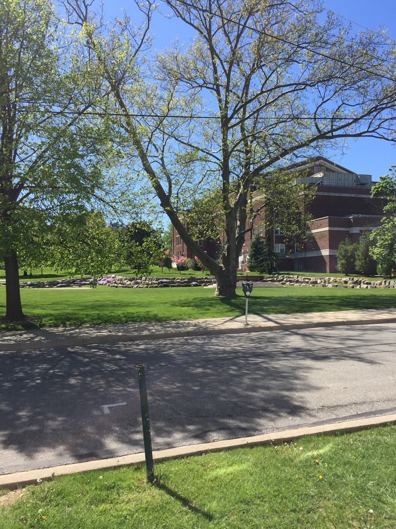 Ypsilanti Apartment: 400 Perrin St.