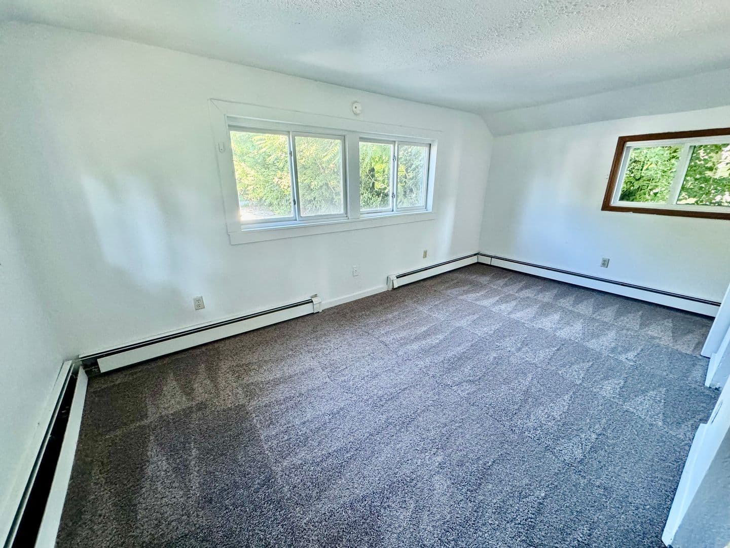 Ypsilanti Apartment: 213 N. Hamilton St