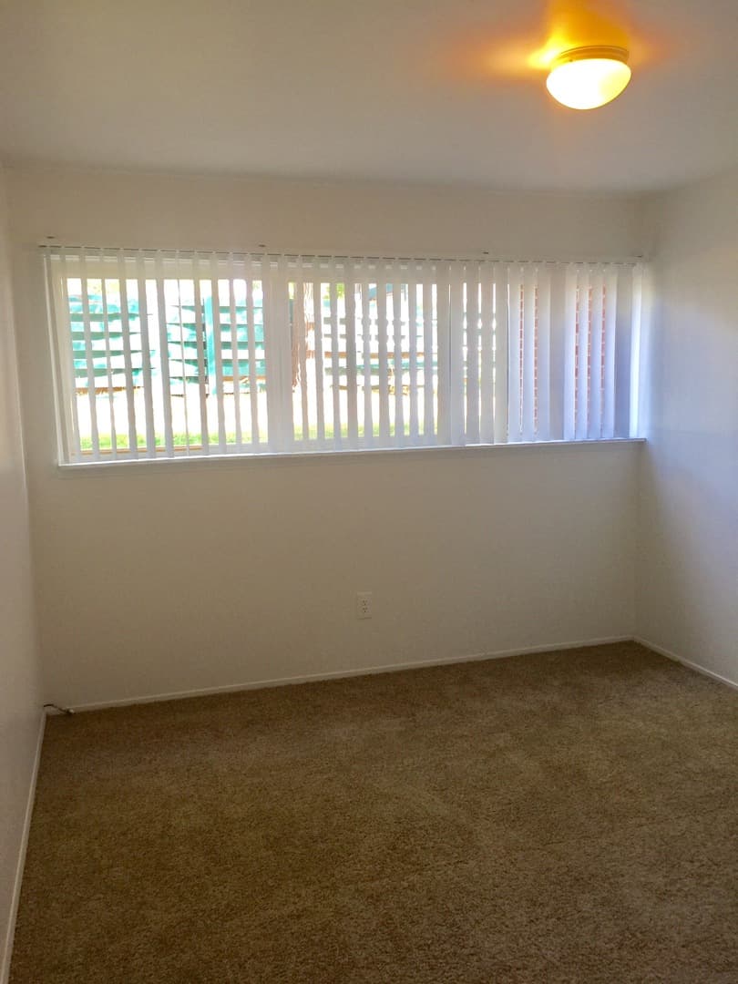 Ypsilanti Apartment: 334 Jarvis