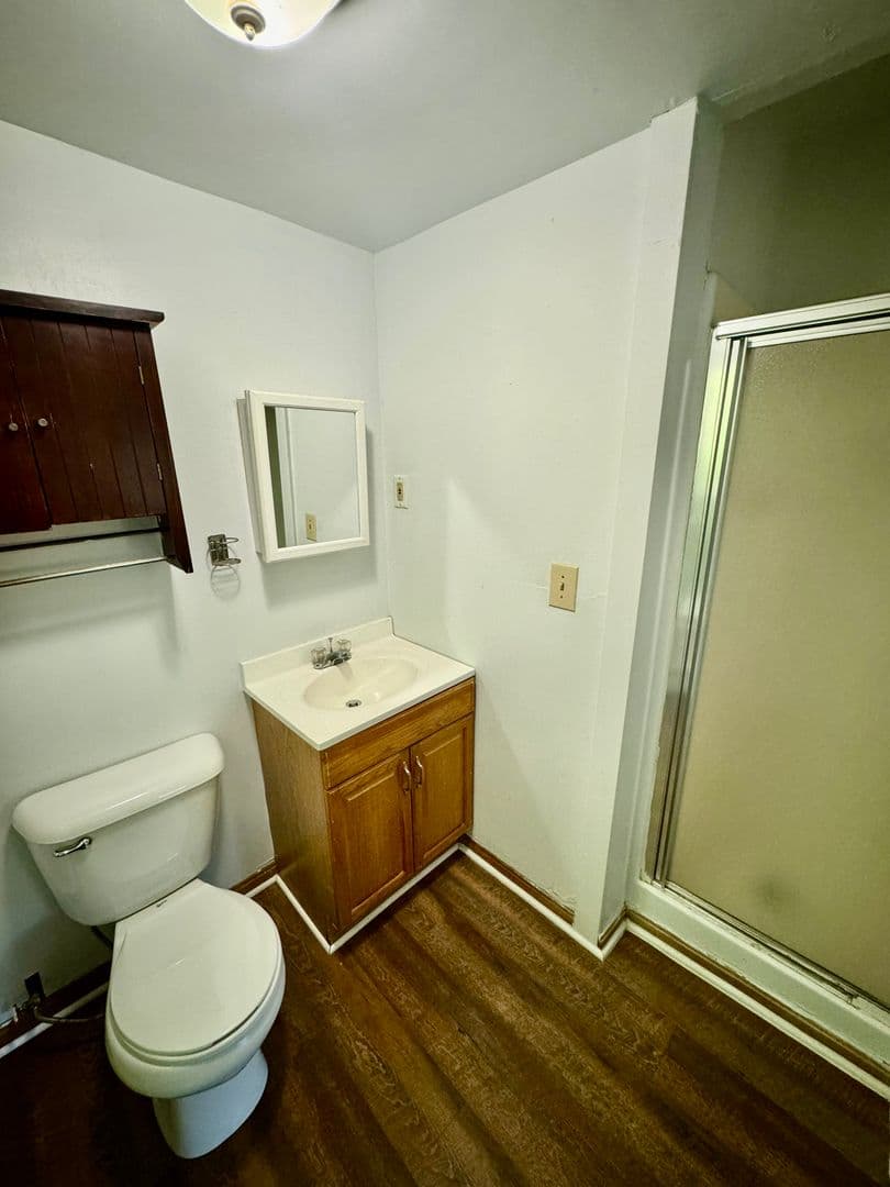 Ypsilanti Apartment: 213 N. Hamilton St