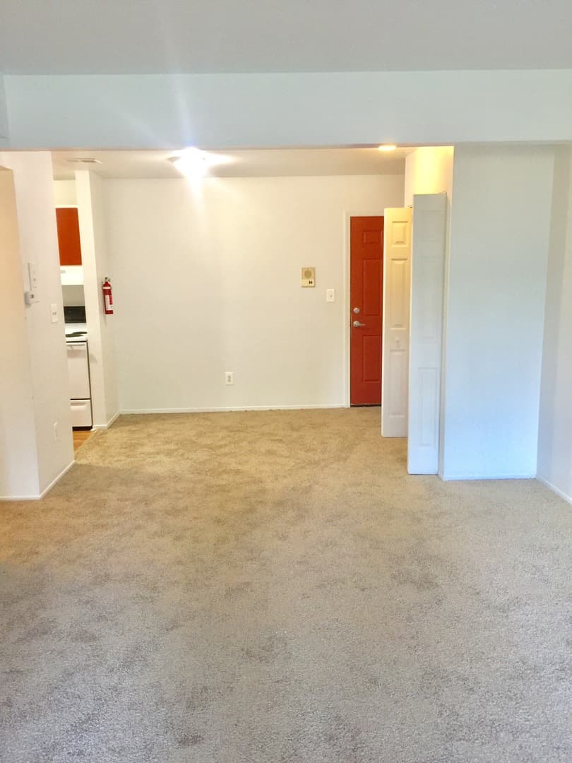 Ypsilanti Apartment: 334 Jarvis