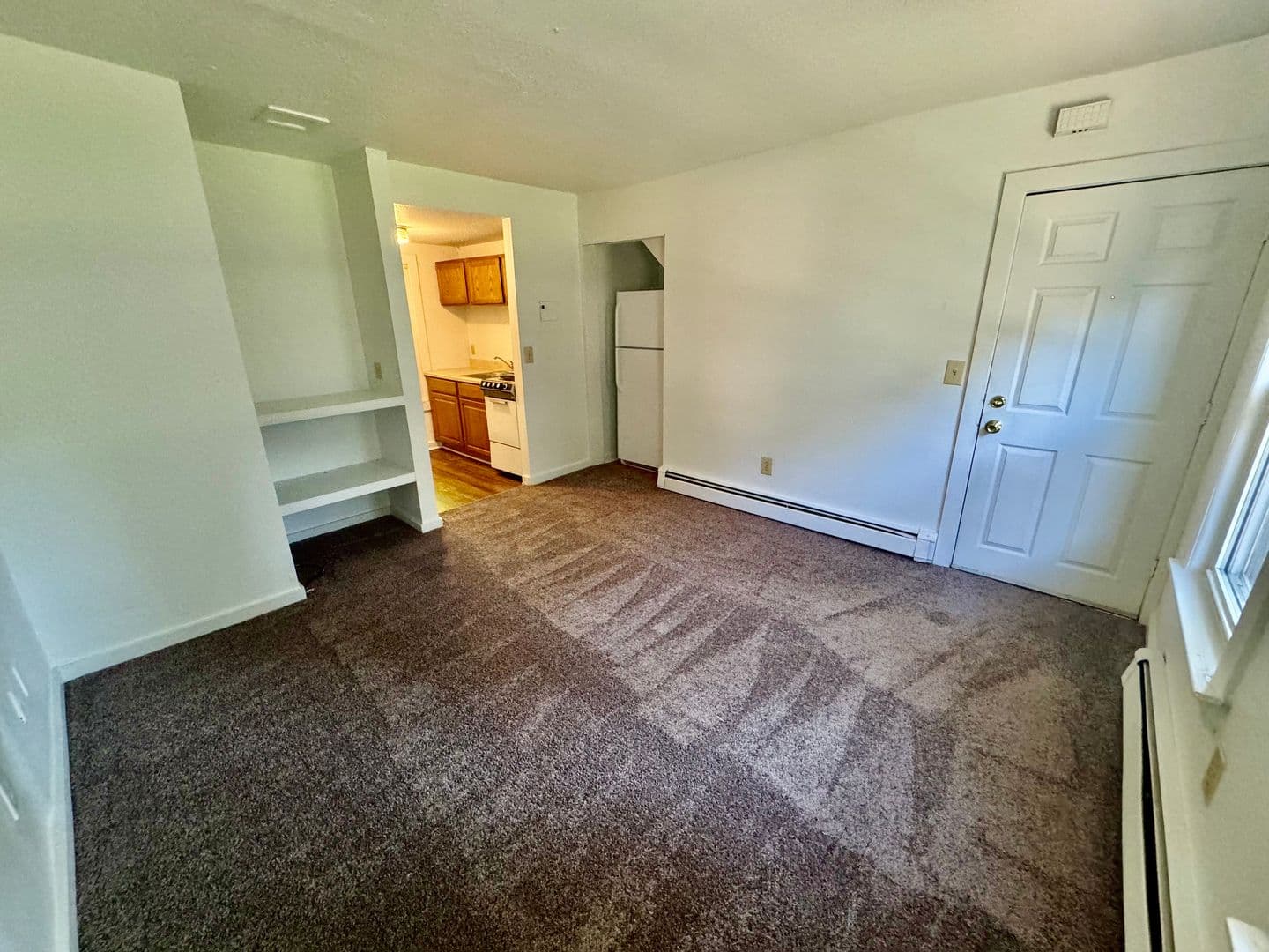 Ypsilanti Apartment: 213 N. Hamilton St