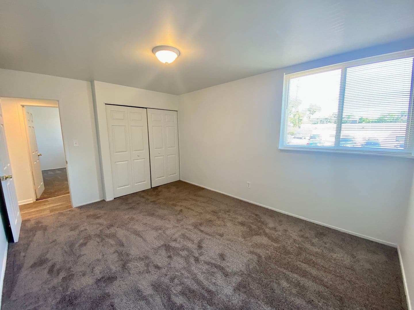 Ypsilanti Apartment: 334 Jarvis