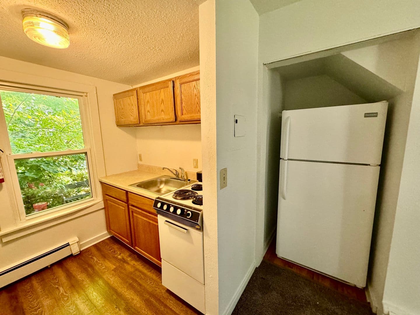 Ypsilanti Apartment: 213 N. Hamilton St