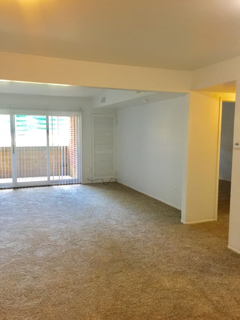 Ypsilanti Apartment: 334 Jarvis