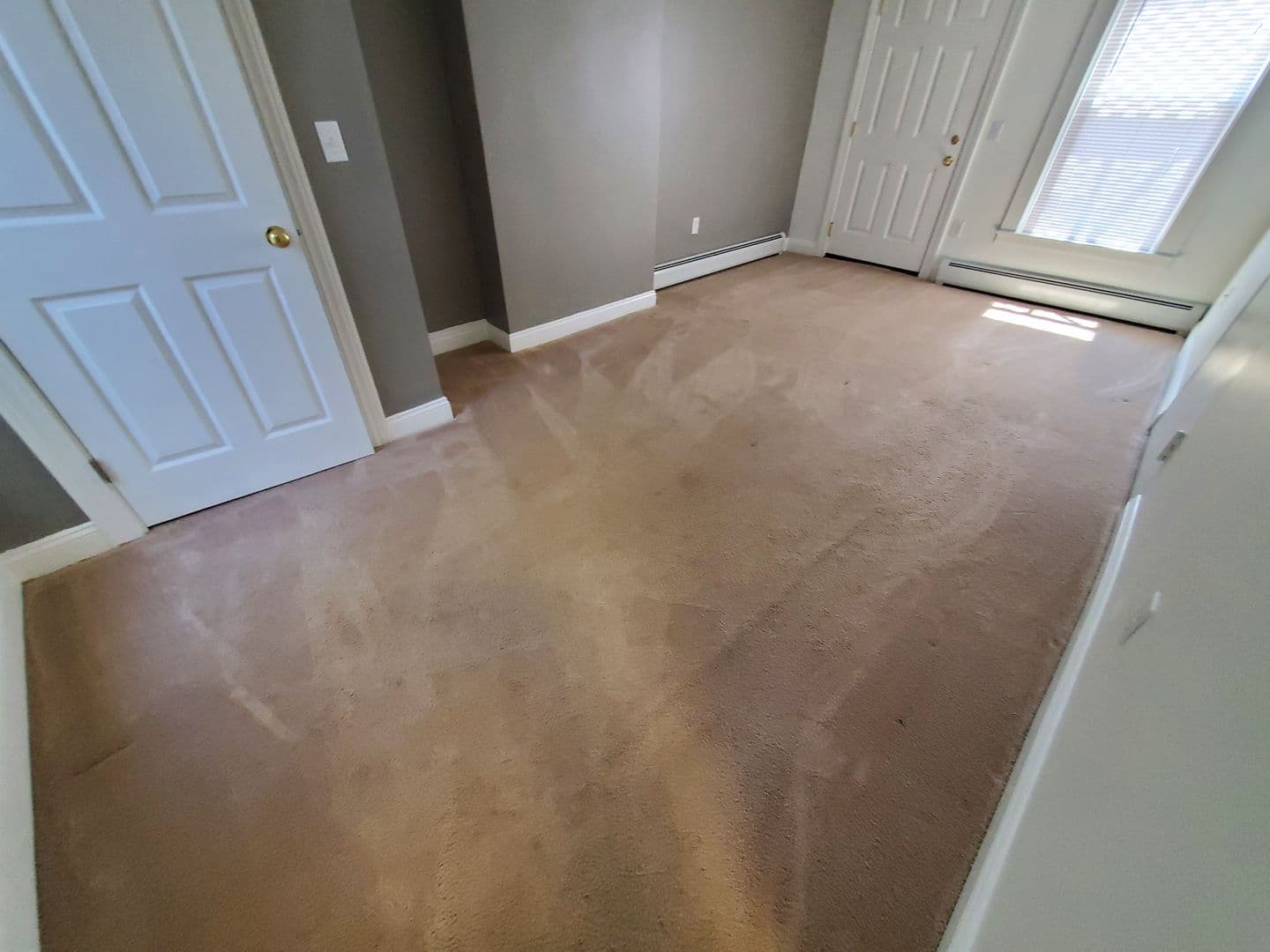 Erie Apartment: 342 West 5th Street