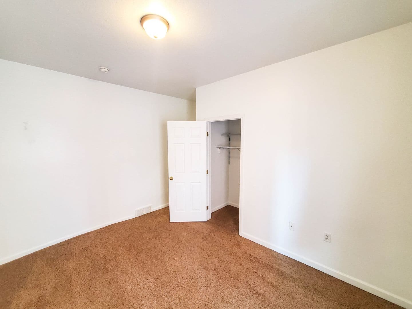Erie Apartment: 818 Sassafras Street