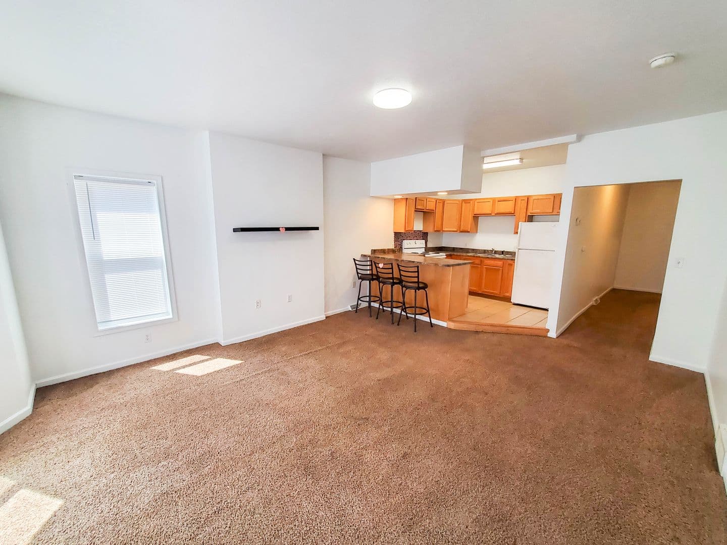 Erie Apartment: 818 Sassafras Street