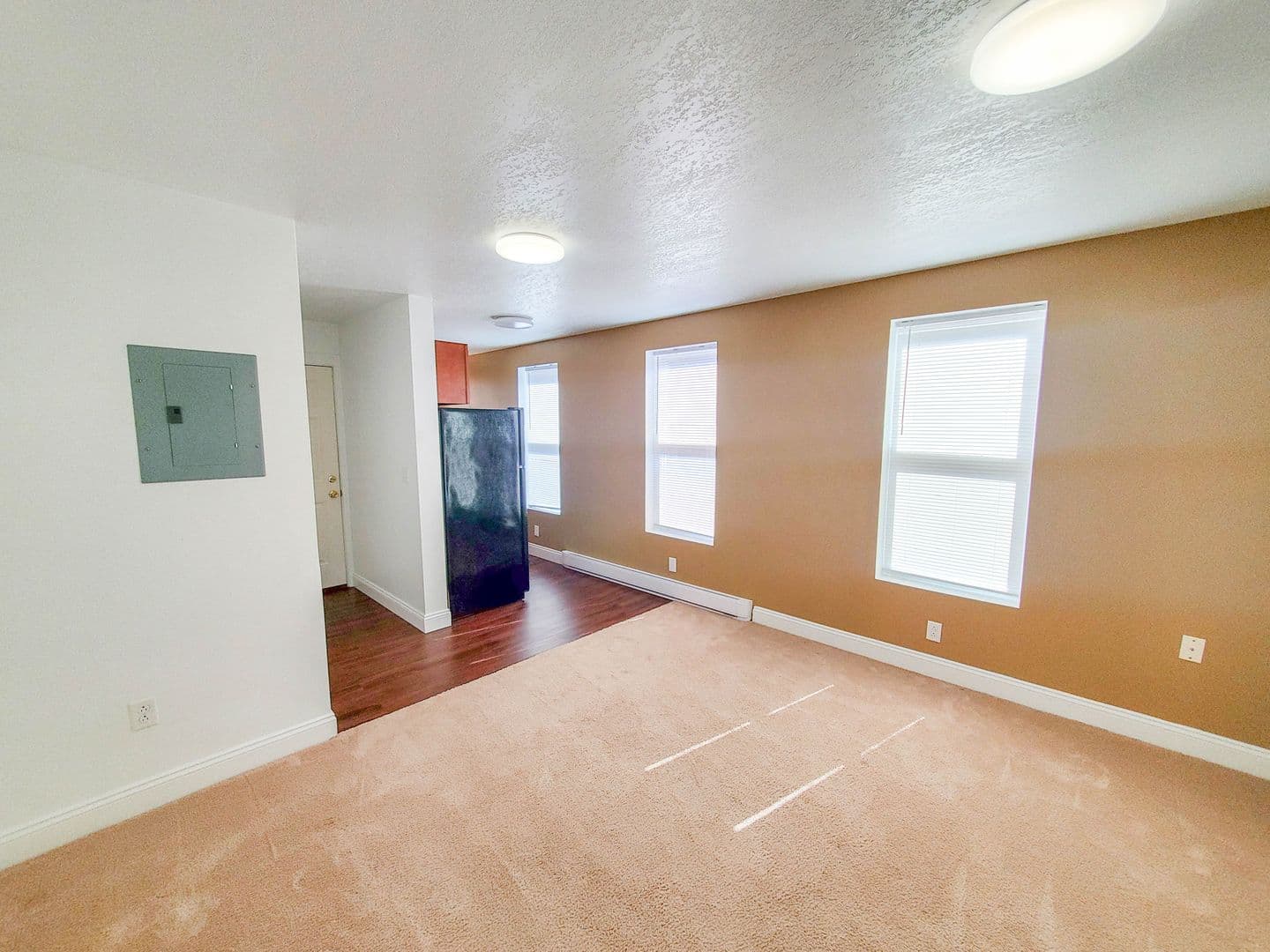 Erie Apartment: 310 West 7th Street