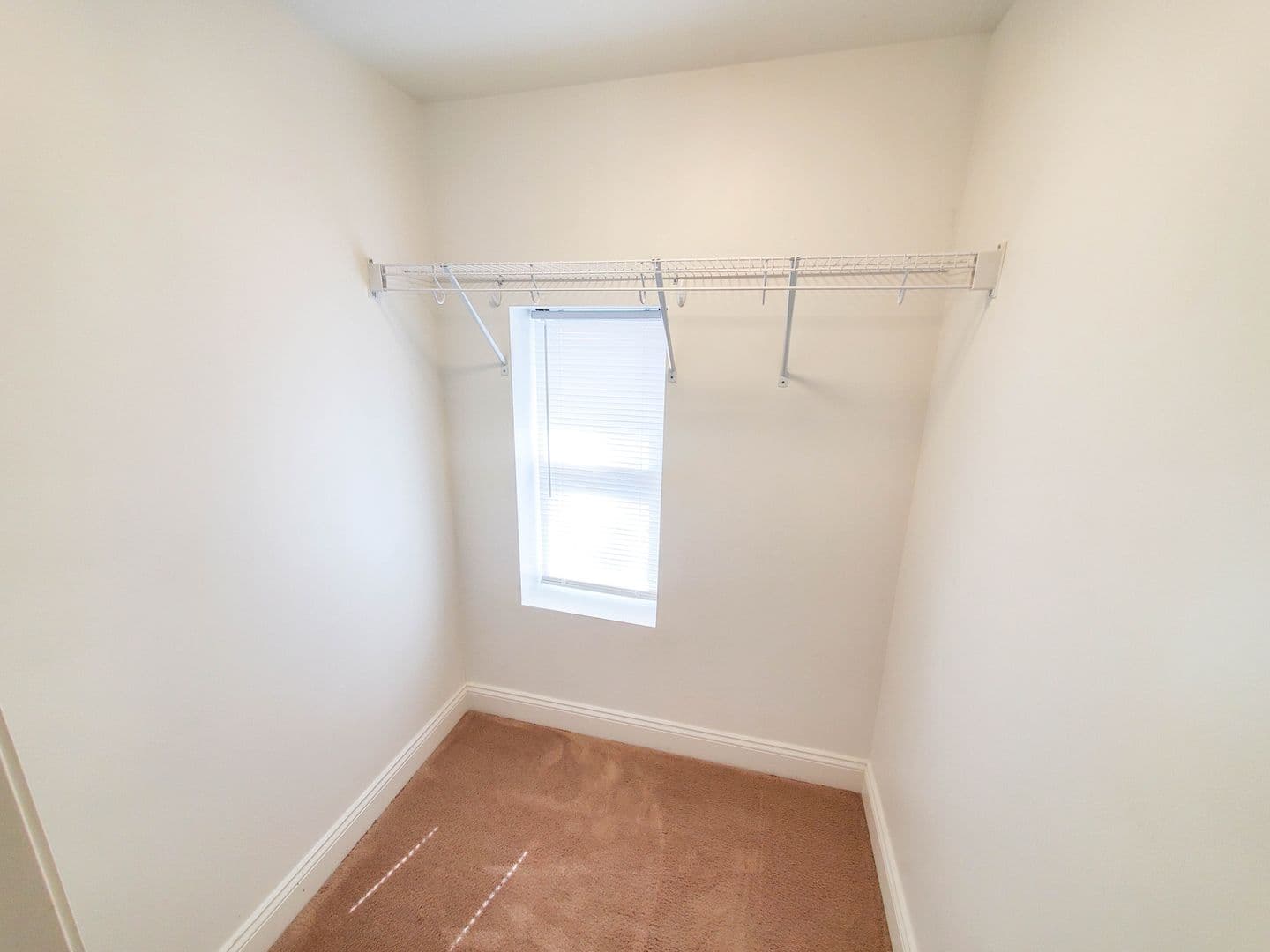Erie Apartment: 310 West 7th Street