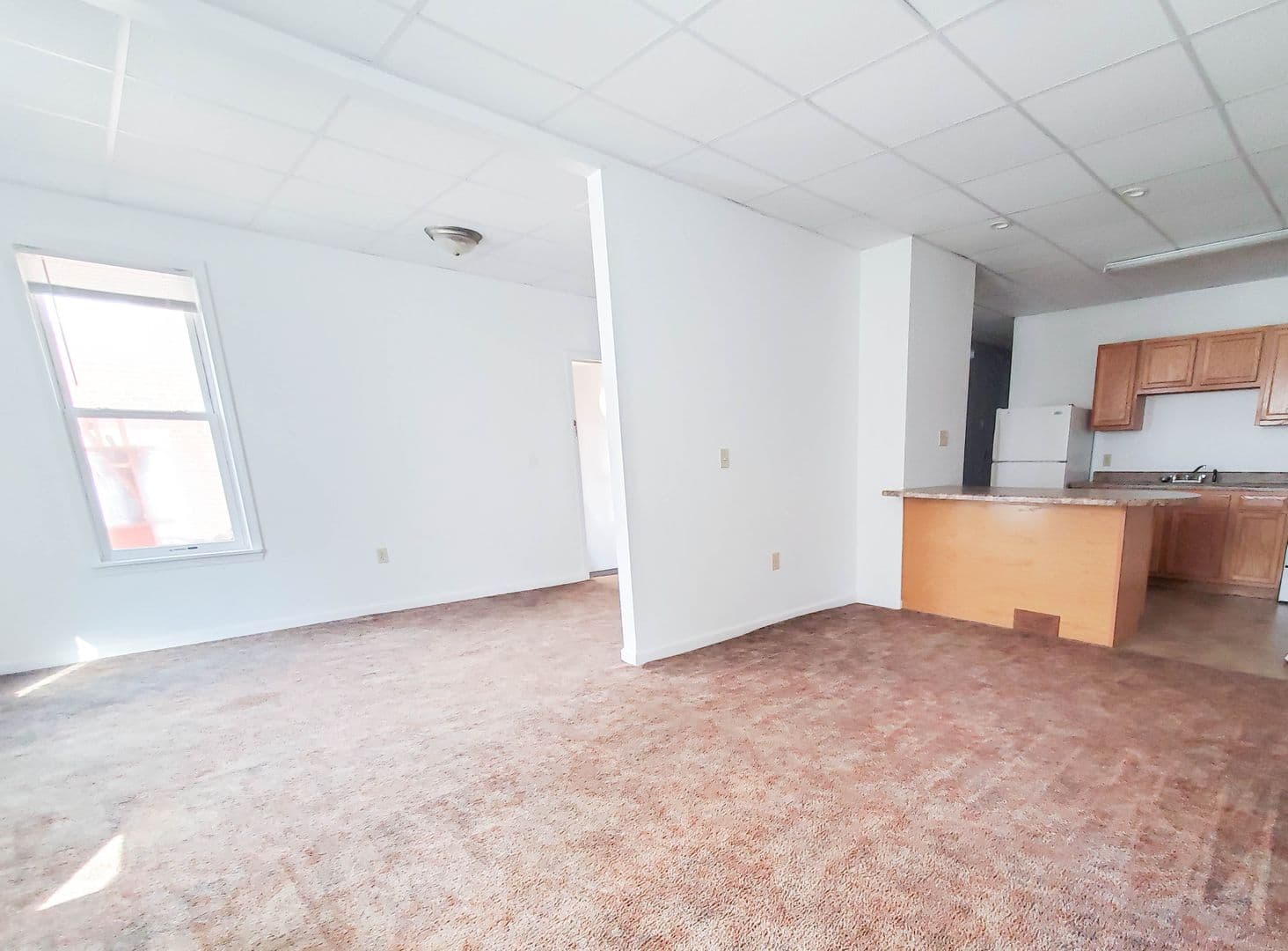Erie Apartment: 236 West 8th Street