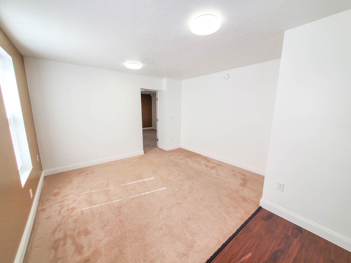 Erie Apartment: 310 West 7th Street