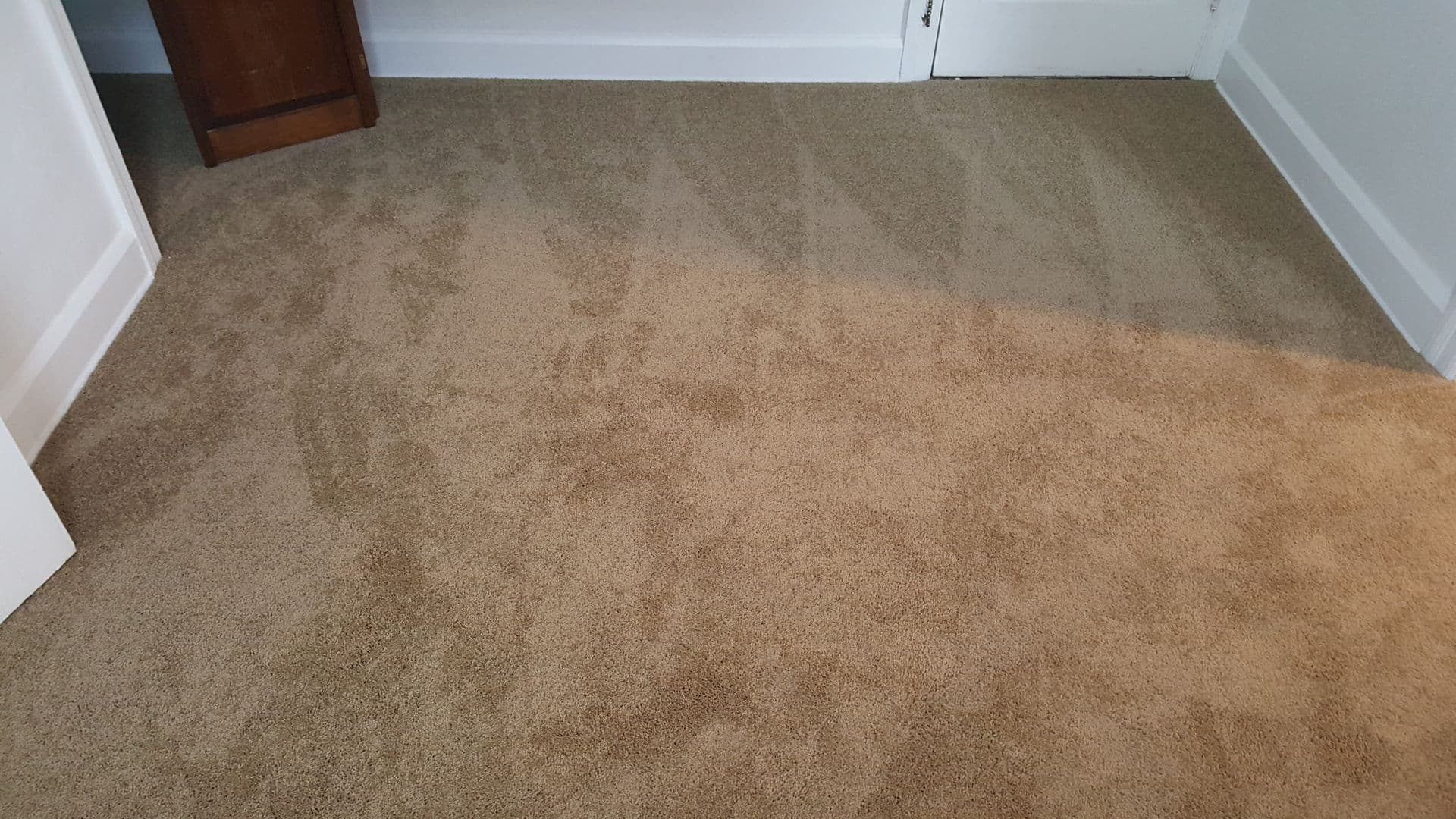 Erie Apartment: 331 West 4th Street