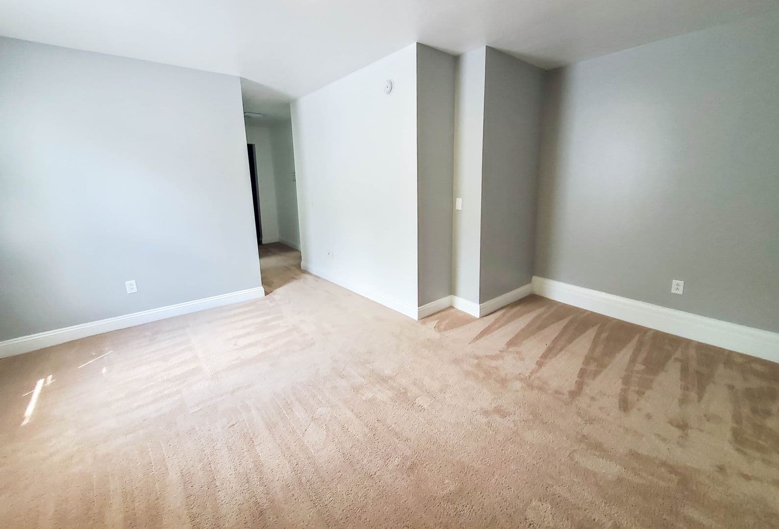 Erie Apartment: 342 West 5th Street