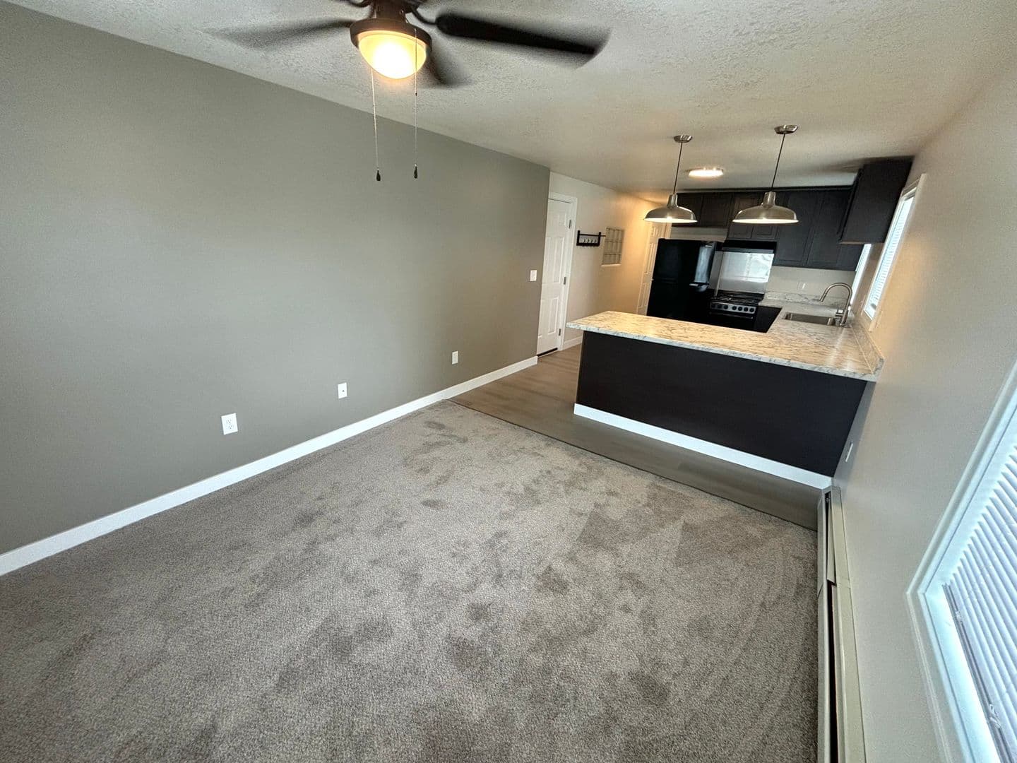 Erie Apartment: 238 West 8th Street