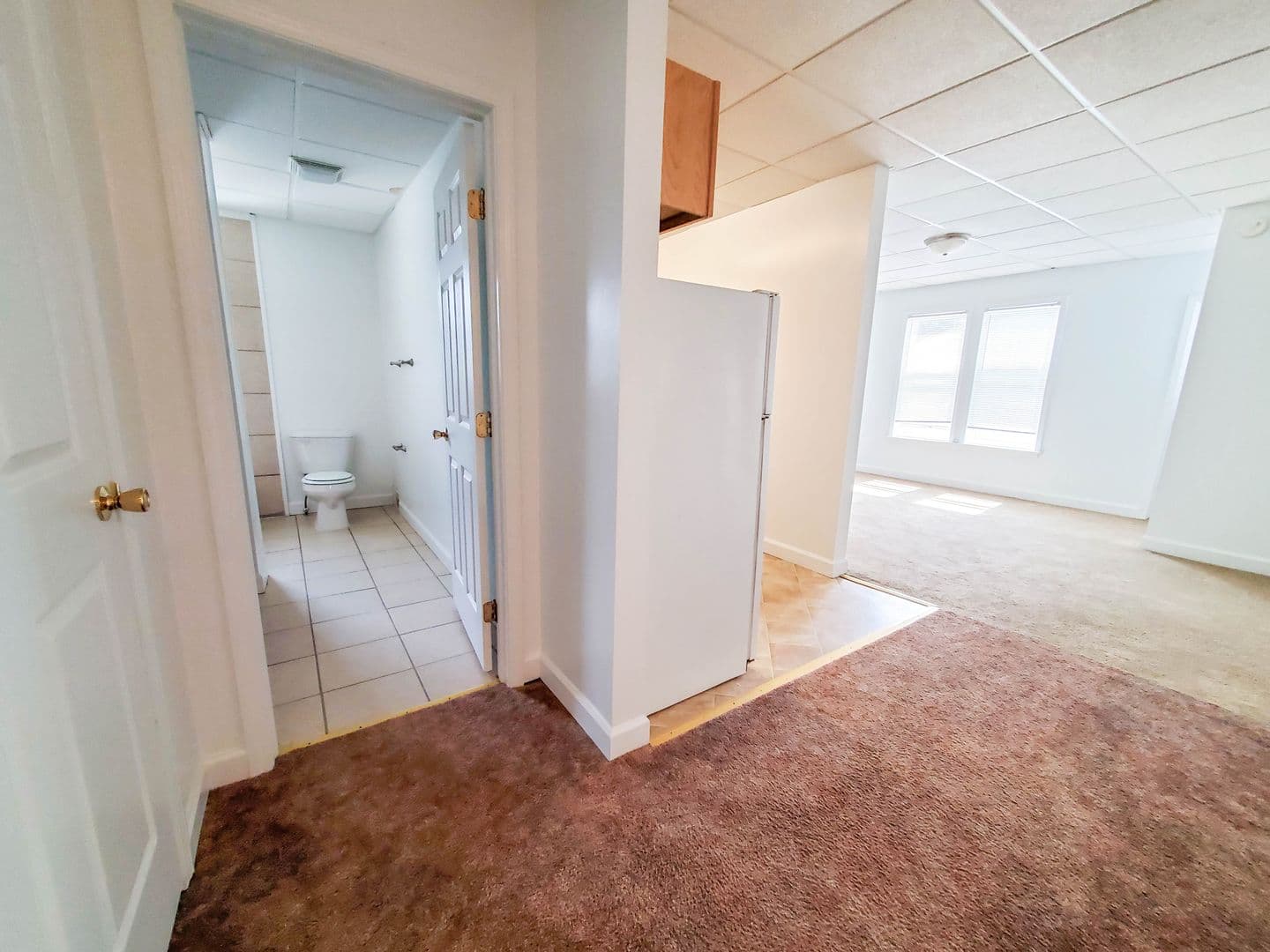 Erie Apartment: 239 West 8th Street