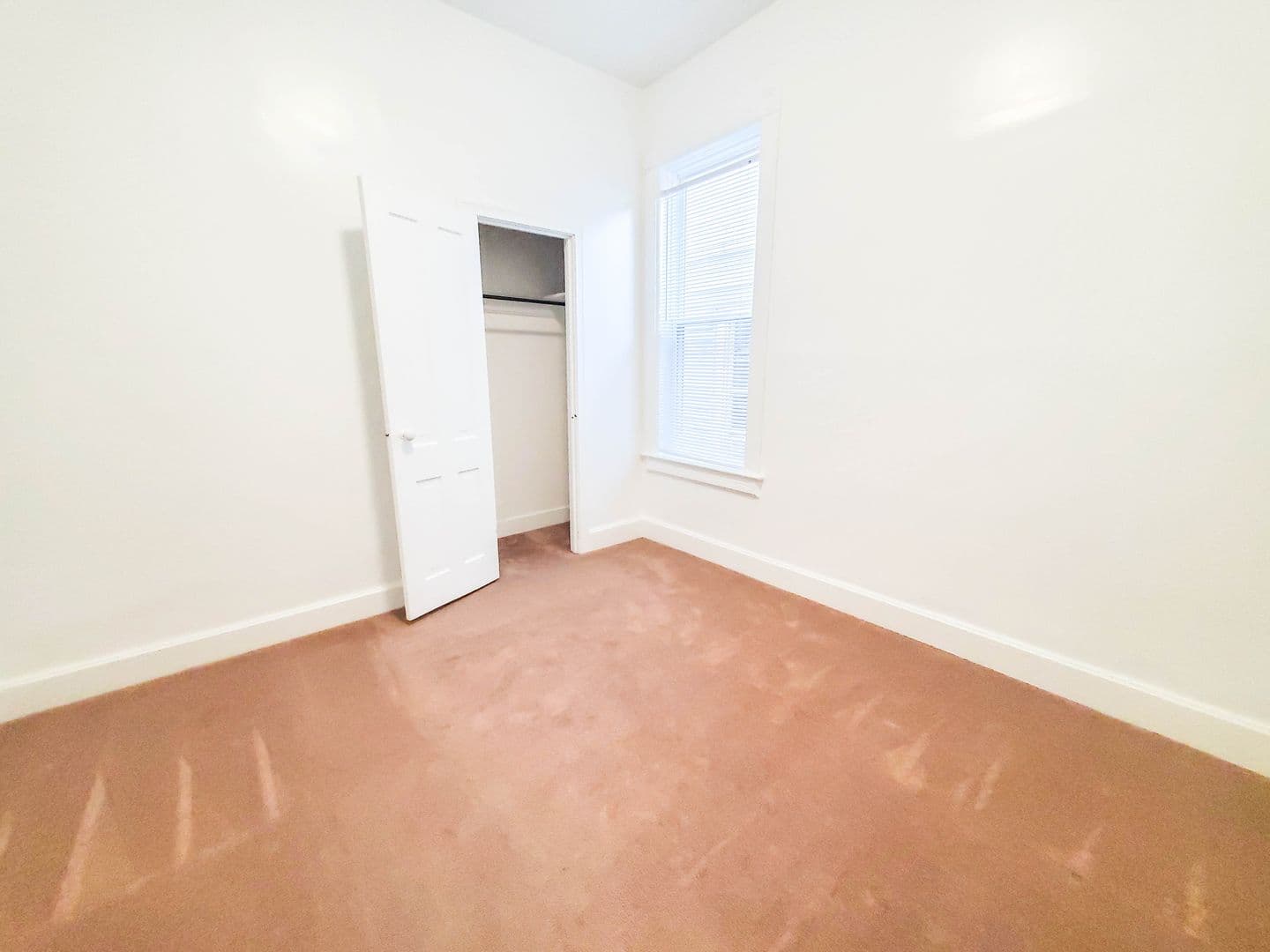 Erie Apartment: 337 West 8th Street