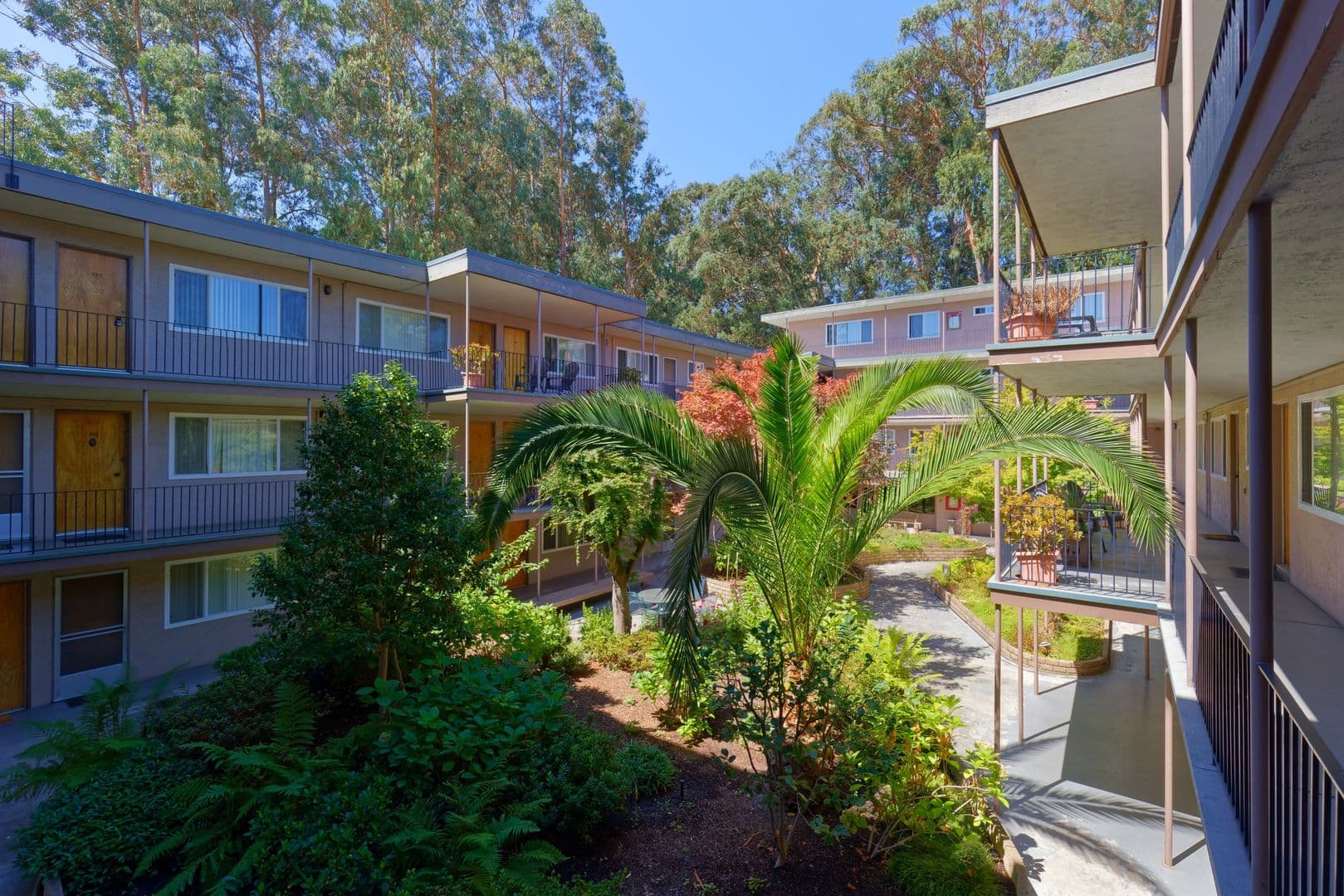 San Leandro Apartment: 540 Callan Ave