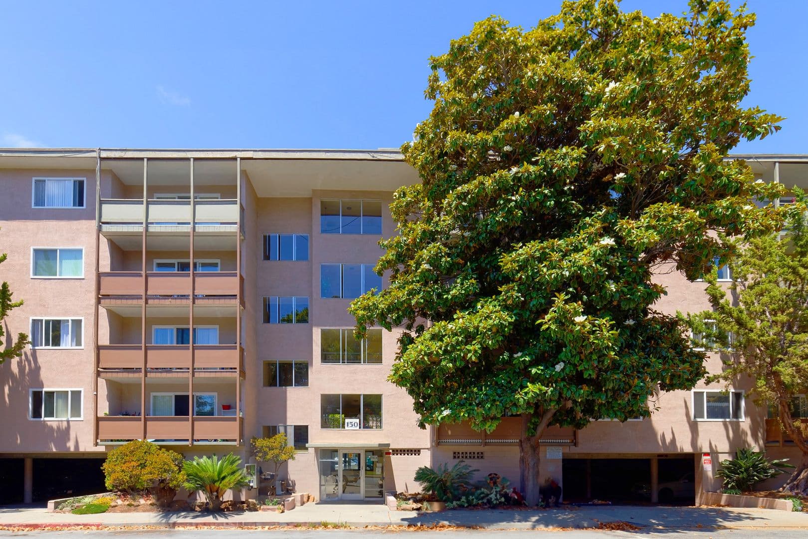 San Leandro Apartment: 150 Haas Ave