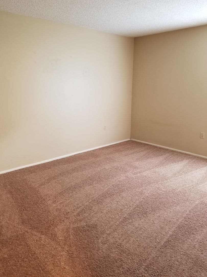 Tampa Condo: 14213 Shadow Moss Lane #101