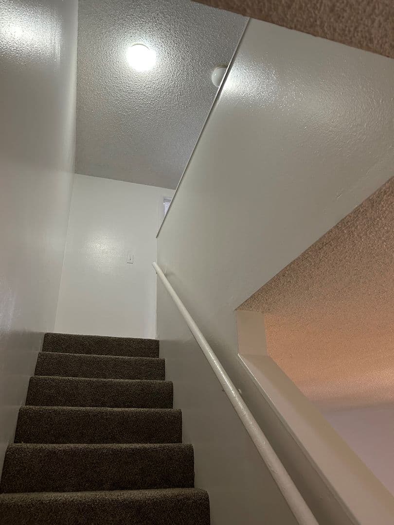 Tampa Townhome: 5508 Pokeweed Ct