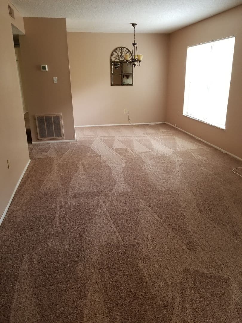 Tampa Condo: 14213 Shadow Moss Lane #101