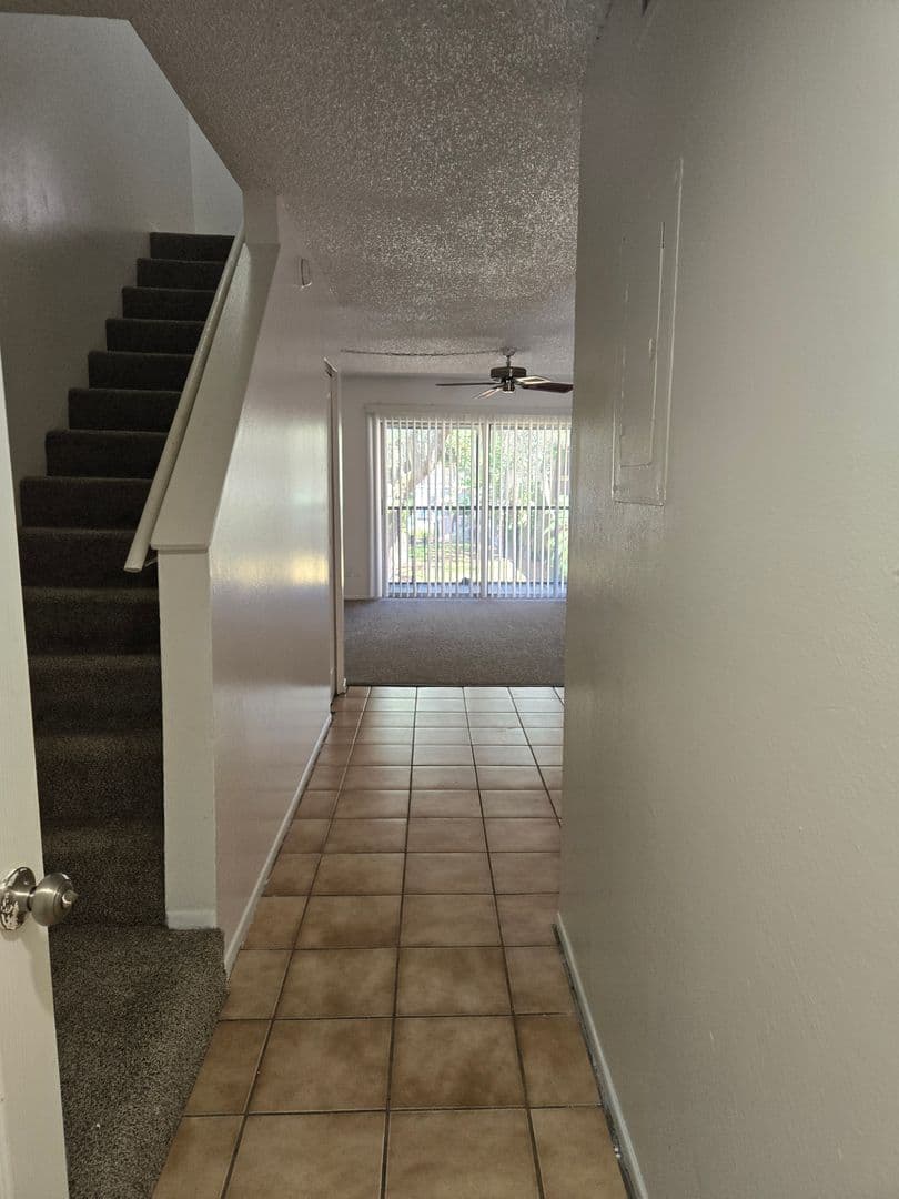 Tampa Townhome: 5508 Pokeweed Ct