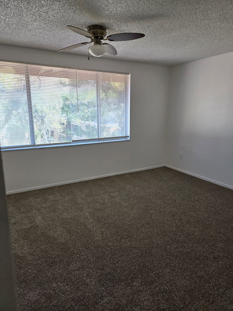 Tampa Townhome: 5508 Pokeweed Ct
