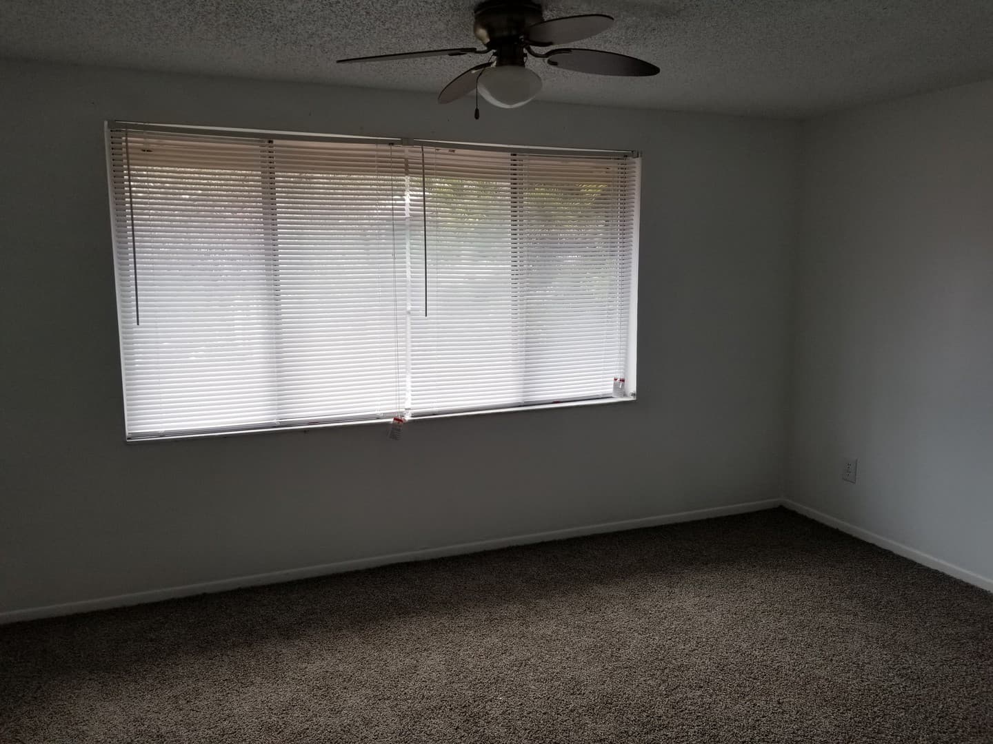 Tampa Townhome: 5508 Pokeweed Ct