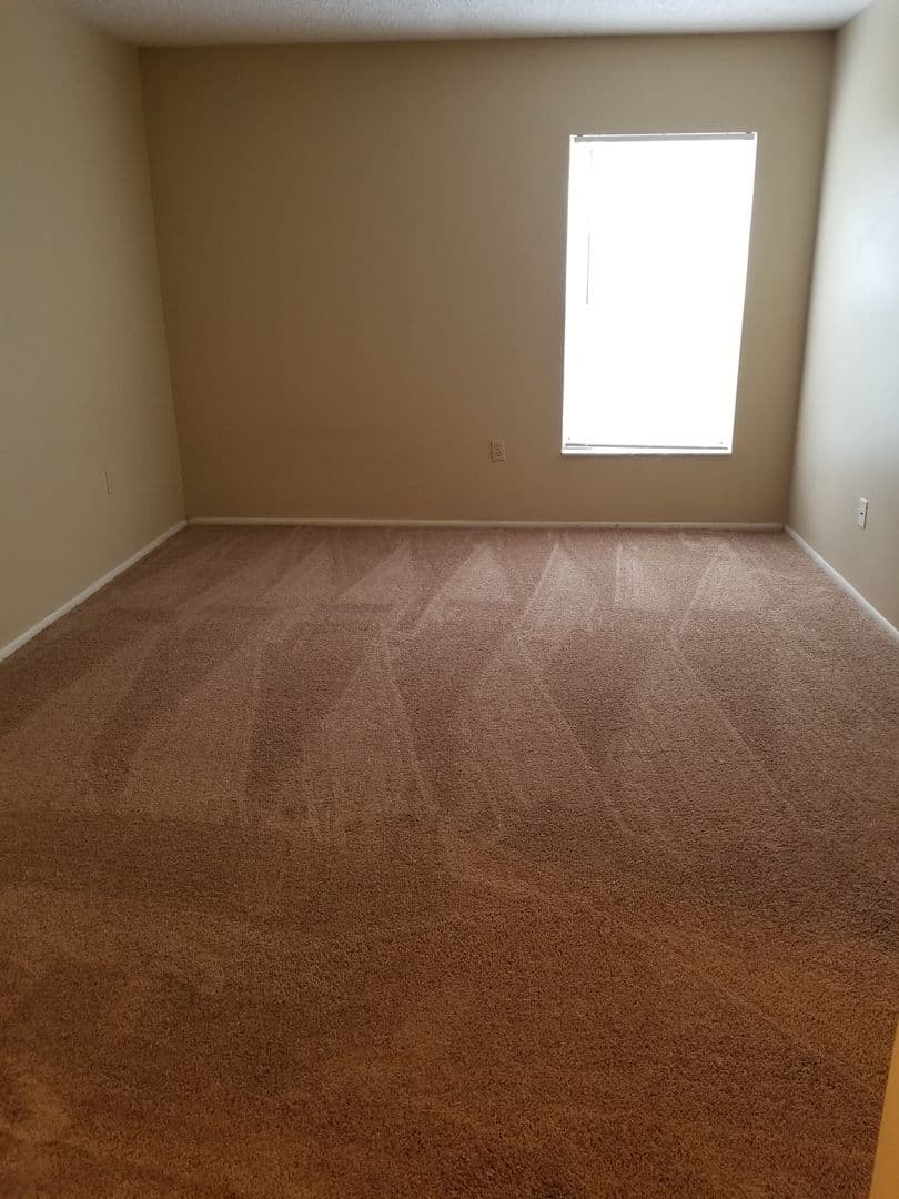 Tampa Condo: 14213 Shadow Moss Lane #101