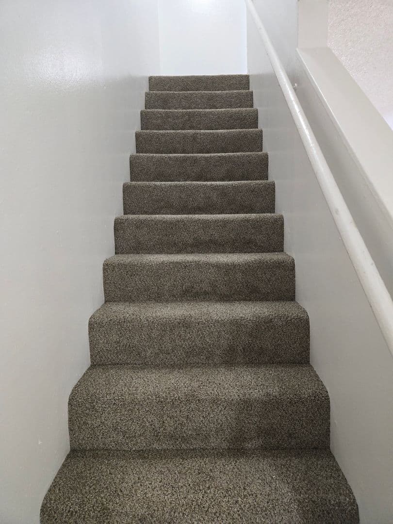 Tampa Townhome: 5508 Pokeweed Ct
