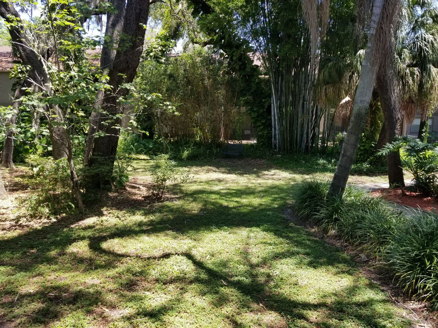 Tampa Condo: 14213 Shadow Moss Lane #101