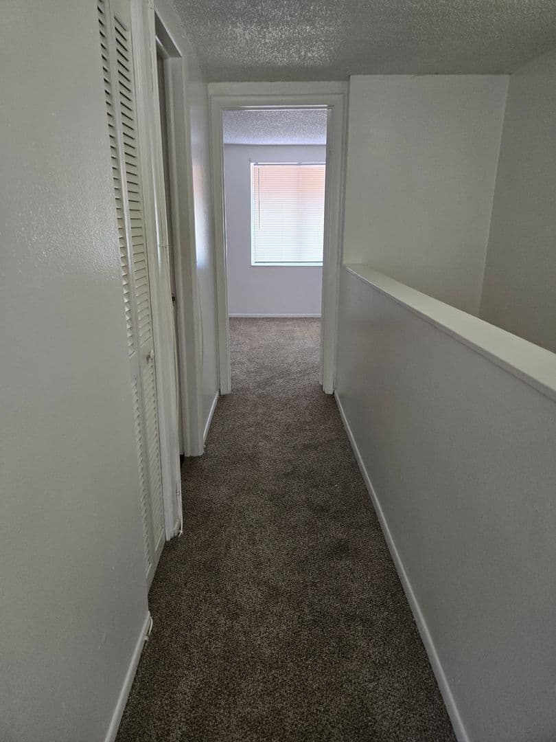 Tampa Townhome: 5508 Pokeweed Ct