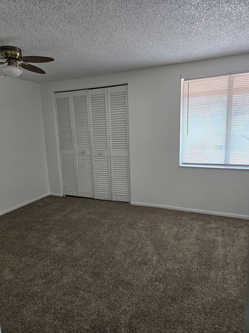 Tampa Townhome: 5508 Pokeweed Ct