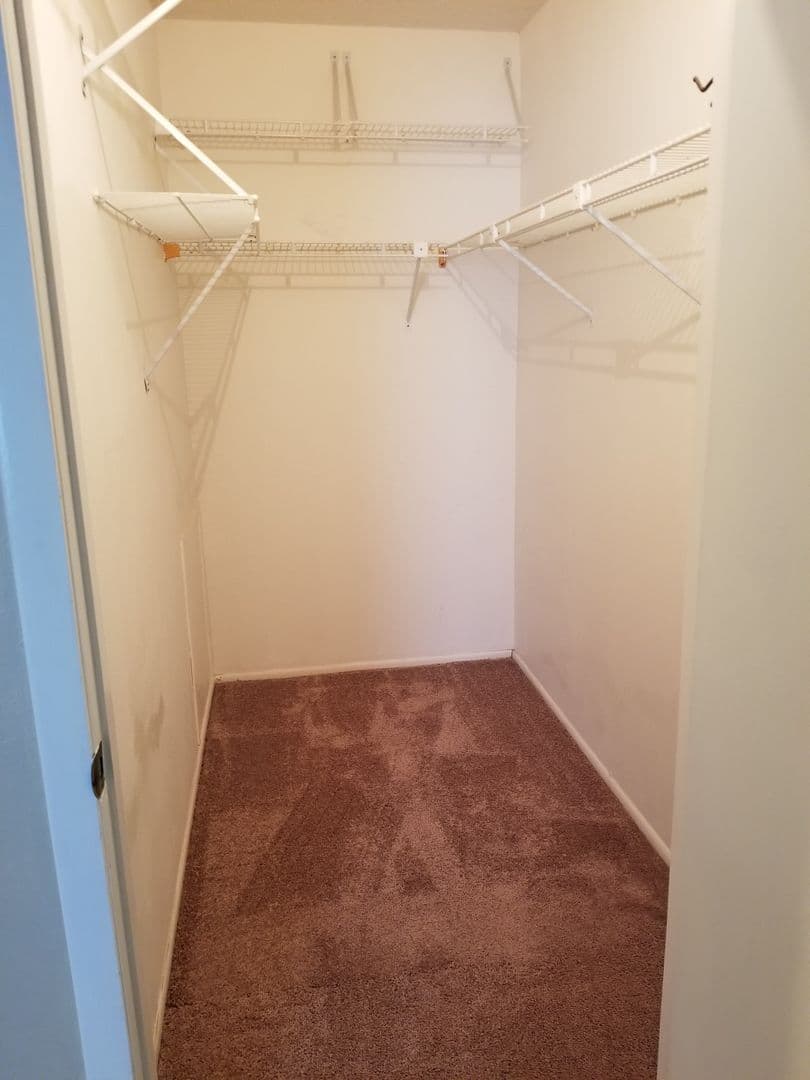 Tampa Condo: 14213 Shadow Moss Lane #101