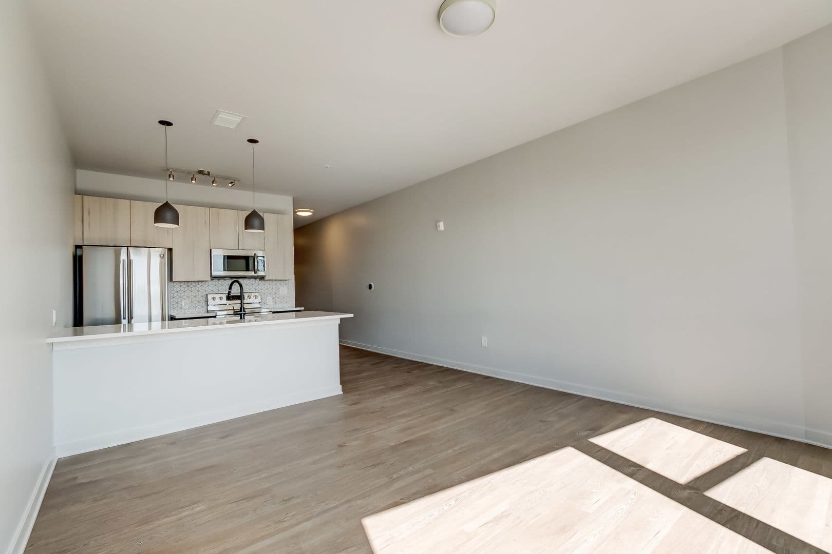 Baltimore Apartment: 115 W Hamburg