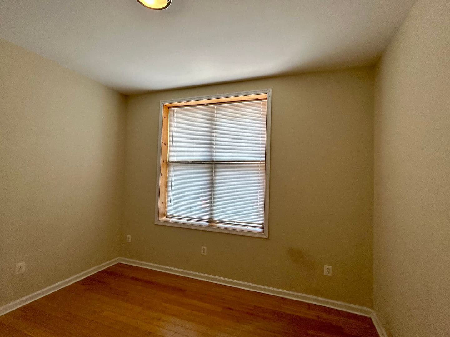 Baltimore Apartment: 2401 Brookfield Ave