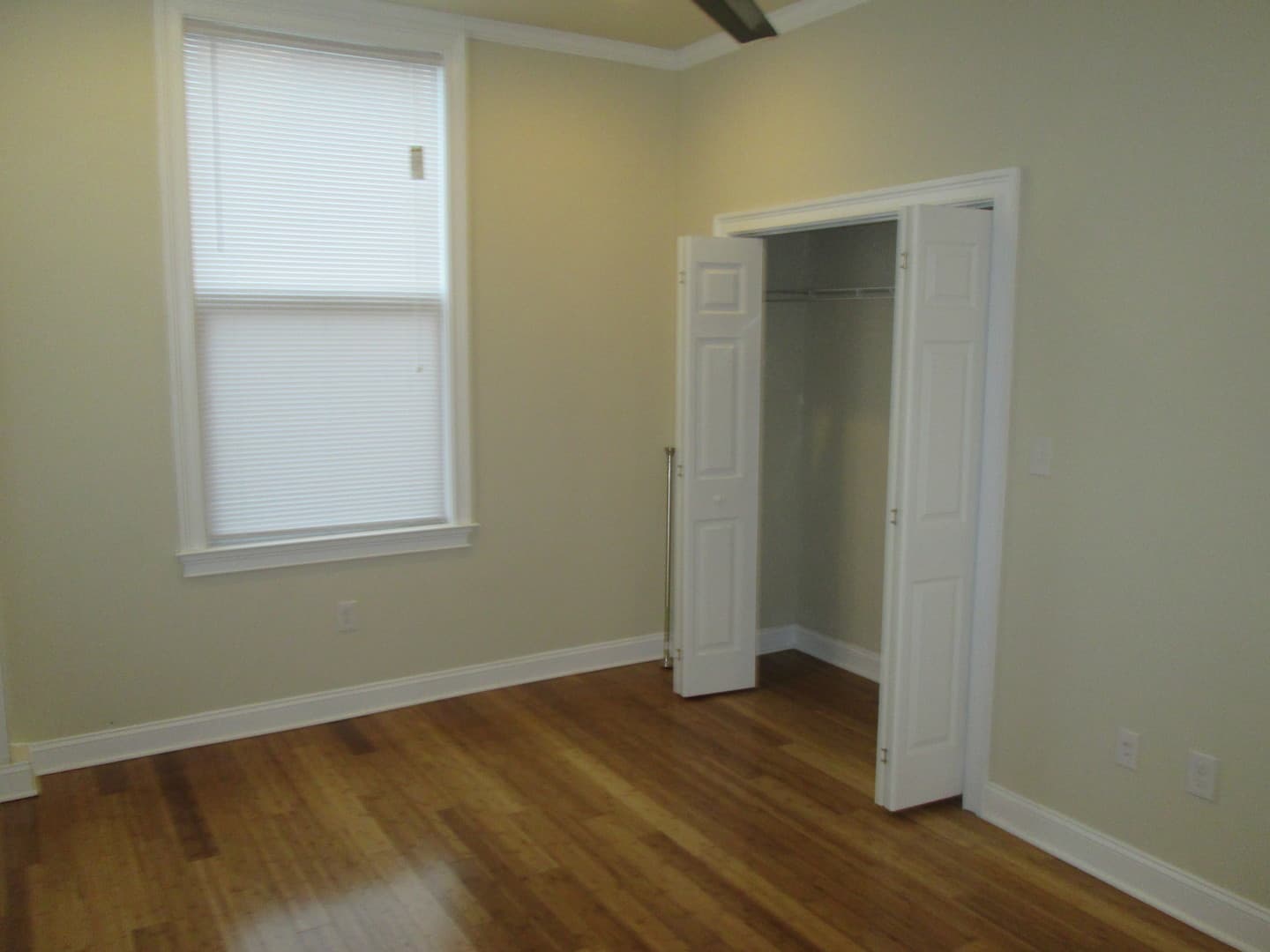 Baltimore Apartment: 817 Park Ave
