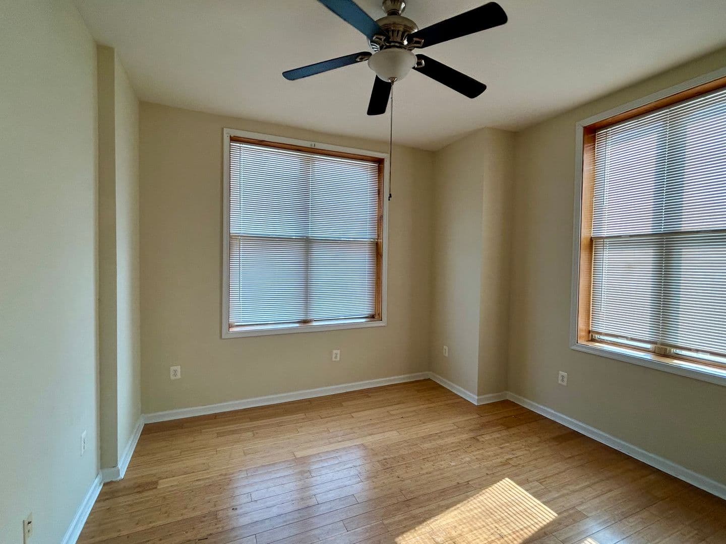 Baltimore Apartment: 2401 Brookfield Ave