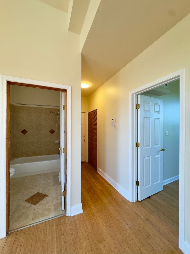 Baltimore Apartment: 2401 Brookfield Ave
